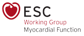 ESC Working Group on Myocardial Function